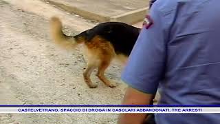 CASTELVETRANO SPACCIO DI DROGA IN CASOLARI ABBANDONATI TRE ARRESTI [upl. by Atnoek]