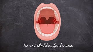 Mouth Mastication  Part 2 Foundations in Digestion  Nourishable Macronutrients Lecture 5 [upl. by Salim]