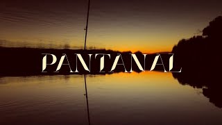 PANTANAL 2022  abertura remake [upl. by Keene327]