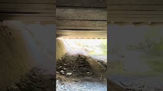 Walking under Matadero Creek beneath highway 101 [upl. by Castara]