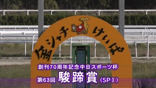 【第63回 駿蹄賞 SPⅠ】 2024 53 名古屋競馬場 優勝馬フークピグマリオン号 [upl. by Lap]