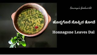 Dal Recipe  Honnagone Leaves Dal  ಆರೋಗ್ಯಕರವಾದ ಹೊನ್ನಗೊನೆ ಸೊಪ್ಪಿನ ತೋವೆ dalrecipe turdal honnagone [upl. by Kingdon106]