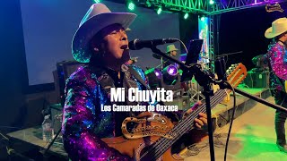 Los Camaradas de Oaxaca  Mi Chuyita En Vivo [upl. by Nickolai]