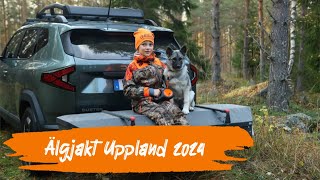 Älgjakt Uppland 2024 4K [upl. by Aeret]