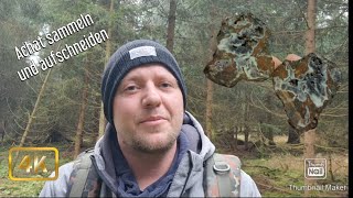 Achat sammeln und aufschneiden Folge 68 gemstone rockhounding nature [upl. by Emmerie]