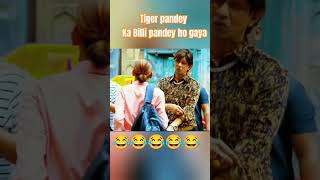 Tiger pandey comedy funny comedy comedyshorts [upl. by Aleunam]