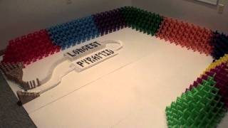 Longest Domino Pyramid 5200 dominos [upl. by Aisiram]