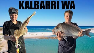 FISHING IN KALBARRI WHALES SHARKS SNAPPER FLATHEAD EP33 [upl. by Popelka]