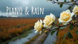 Rain Sounds amp Relaxing Music 247  Piano Music Sleep Study Yoga Stress Relief Meditation [upl. by Ailito]