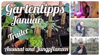 Trailer ✌🏻 Aussaat und Jungpflanzen Gartentipps im Januar [upl. by Otes]