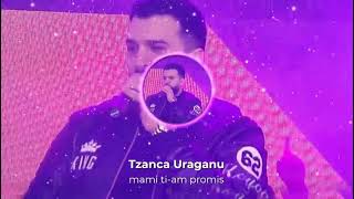 Tzanca Uraganu  mami tiam promis  🔊BASS BOOSTED [upl. by Sugar144]