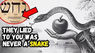 The SERPENT Of Genesis Was NOT A SERPENT Hebrew Text Reveals It [upl. by Kciremed]