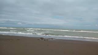 Amanecer en Playa Esmeralda Veracruz México [upl. by Ecyak438]