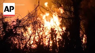 Firefighters battle large winddriven fire in Baltimore [upl. by Fishbein]