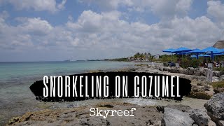 Snorkeling on Cozumel Sky Reef [upl. by Asiluy]