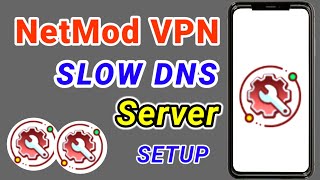 How to configure Netmod VPN slow DNS server settings for Secure browsing [upl. by Anenahs]