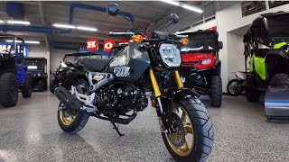 All New 🚨2024 Honda Grom SP Walk Around🚨 [upl. by Roselia787]