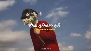 Eka Dawasaka Api  එක දවසක අපි   Slowed  Reverb  Official Music Video song remix viralvideo [upl. by Elorac]