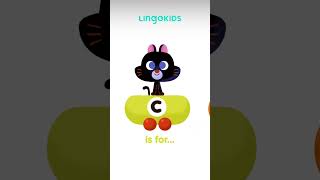 ABCD Words for Kids 🚂 Sing along with the ABC Train with Lingokids abcd abcsong forkids [upl. by Hpotsirhc454]