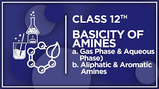 Basicity of Amines in gas phase and aqueous phase Aromatic amines and aliphatic amines [upl. by Nole629]