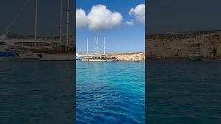 Mezmerizing water color from Blue Lagoon Malta travel malta europe fyp sea beautiful beach [upl. by Amaso501]