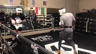 Canelo Alvarez sparring for rocky fielding [upl. by Airehtfele]