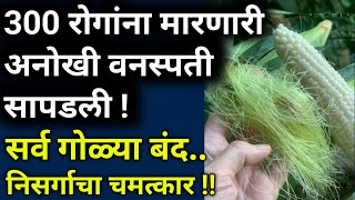 हि वस्तु एकदा खाल्ली की सर्व रिपोर्ट नॉर्मल झाले best healthy foodin marathihabbitsआरोग्य [upl. by Burhans]