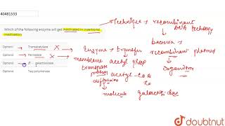 Which of the following enzyme will get inactivated in insertional inactivation [upl. by Mortimer777]