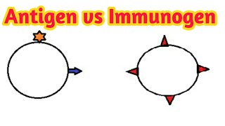 Antigen vs immunogendifference between antigen and immunogenantigenimmunogen [upl. by Harshman746]