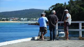 Getaway to Merimbula Fishing [upl. by Eneluj]