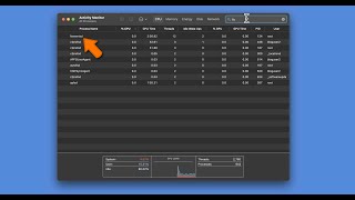 Fix fseventsd high CPU and high memory usage on your Mac [upl. by Ailsun545]