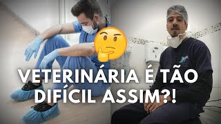 A Faculdade de Medicina Veterinária é tão DIFÍCIL assim Entenda nesse vídeo [upl. by Ahseele]