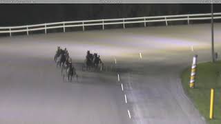 Flamboro Downs October 16th 2024 Race 8 Front Tower [upl. by Iliam]