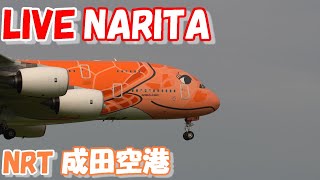 🔴LIVE at NARITA International Airport Plane Spotting 202408012 成田空港ライブカメラ 成田空港 NRTRJAA [upl. by Gittel]