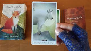 Familiar Field Oracle  FlipThrough amp Timeless One Card Reading [upl. by Annoel]