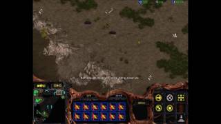 Starcraft Beginners Tutorial Zerg v Terran  Basic Opening amp Concepts [upl. by Lanny]