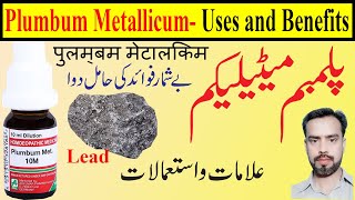 Plumbum Met 30 200 1M Homeopathic Medicine Uses in Hindi  Plumbum Metallicum Homeopathy Uses [upl. by Ettenan]