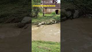 Hochwasser Eggersdorf bei Graz  der Tag danach  09062024 hochwasser unwetter [upl. by Mook]