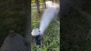 Open Fire Hydrant at Flushing Meadows Corona Park in Queens New York City OfficialFDNY NYCParks [upl. by Yelrahs]