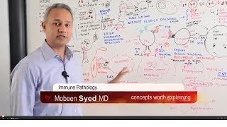 Immunology Lecture 19 Immune Pathology [upl. by Amsaj]