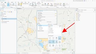 Field Map Parameters in ArcGIS Pro Part 3 [upl. by Aihsyla]