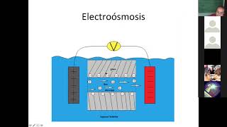 Electrodiálisis y electroósmosis [upl. by Sleinad762]