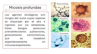 Generalidades de Micología [upl. by Aubry]