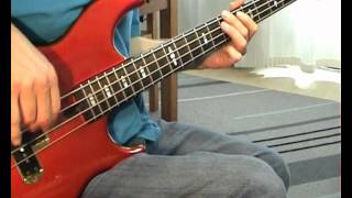 Paul Simon  Graceland  Bass Cover [upl. by Rotciv970]