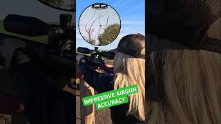 IMPRESSIVE AIRGUN ACCURACY  FX DRS  Best Airguns in the world  FX Airguns fxairguns shorts [upl. by Babcock]