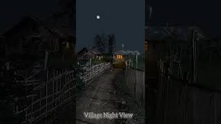 Village Night View 😍 Nature sounds Cricket Soundsshorts [upl. by Yennaiv25]