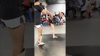 tagmuaythai muaythai lerdsila nakmuay muaythaishorts kicks nakmuayying mma muaythaiclass [upl. by Xonnel460]