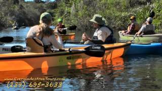 Everglades Area Tours Guided Eco Adventures [upl. by Yzeerb]