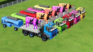 TRANSPORTING COLORING COW WITH FLATBED TRUCK  FARMING SIMULATOR fs22 simulator flatbedtrucking [upl. by Troyes]