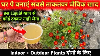 ये जैविक Liquid Fertilizer सभी पौधे मे प्रयोग होगा indoor हो या Outdoor  शक्तिशाली Liquid खाद [upl. by Erret]